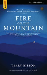 Cover of Fire on the Mountain book