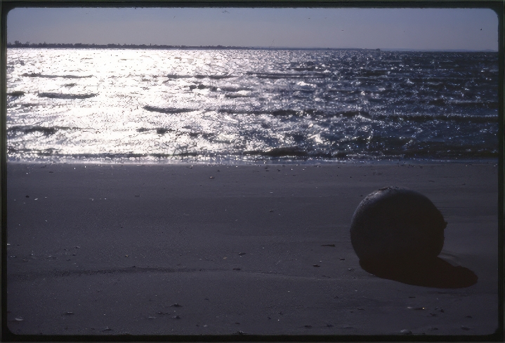 14. The soul in Carapans